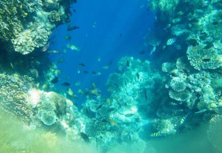 Biru Toska Lubang Buaya di Morella  Secawan Teluk Ambon